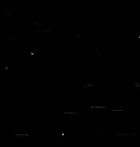 Text Motion Presets